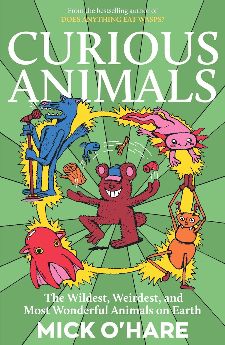 Cover image for Curious Animals, isbn: 9781835015711