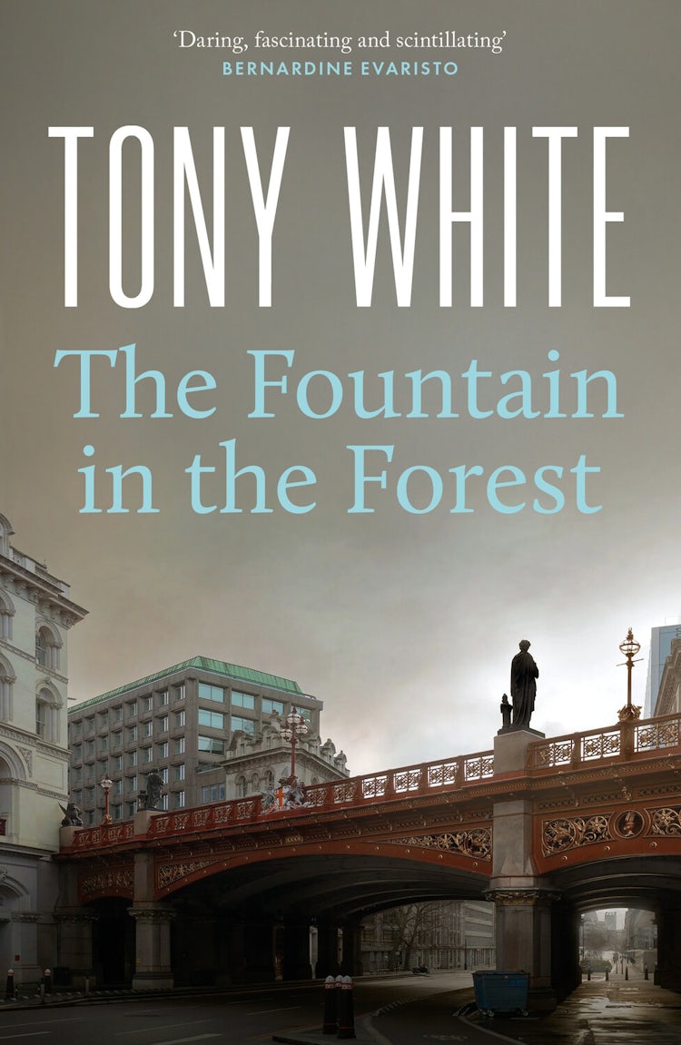 Cover image for The Fountain in the Forest, isbn: 9781835016244