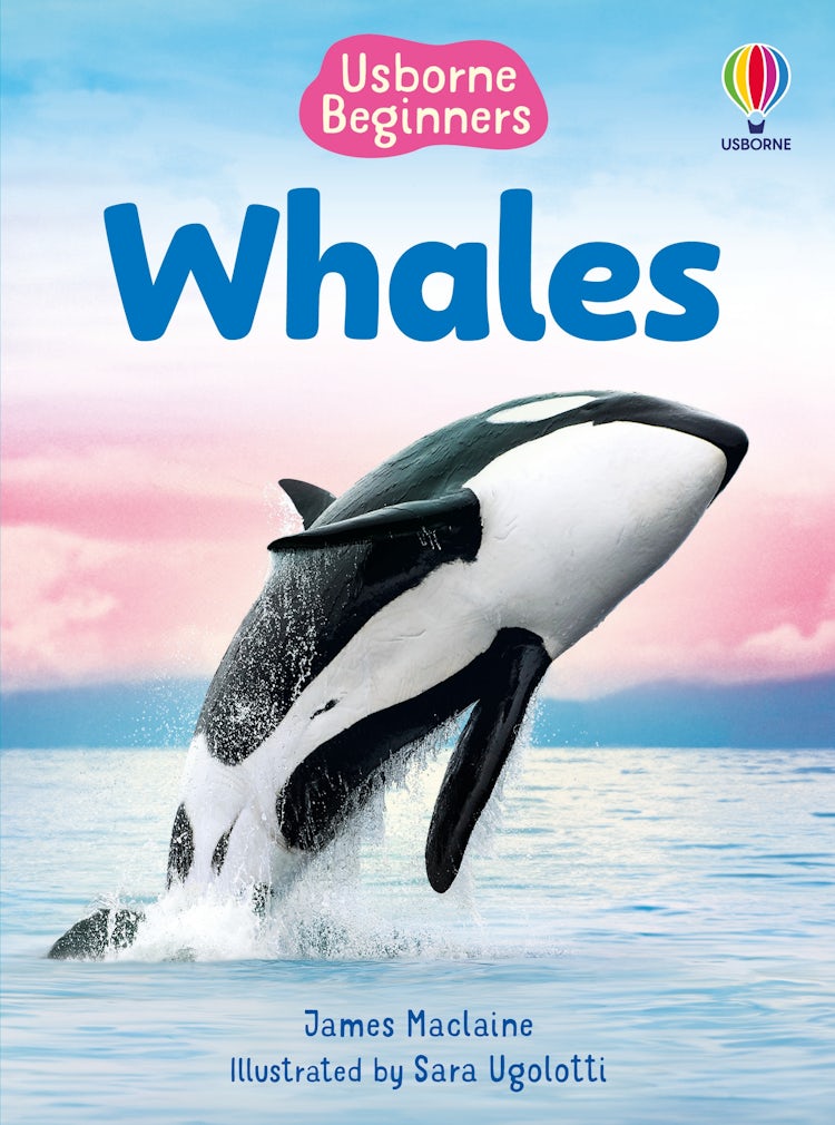 Cover image for Beginners Whales, isbn: 9781835409039
