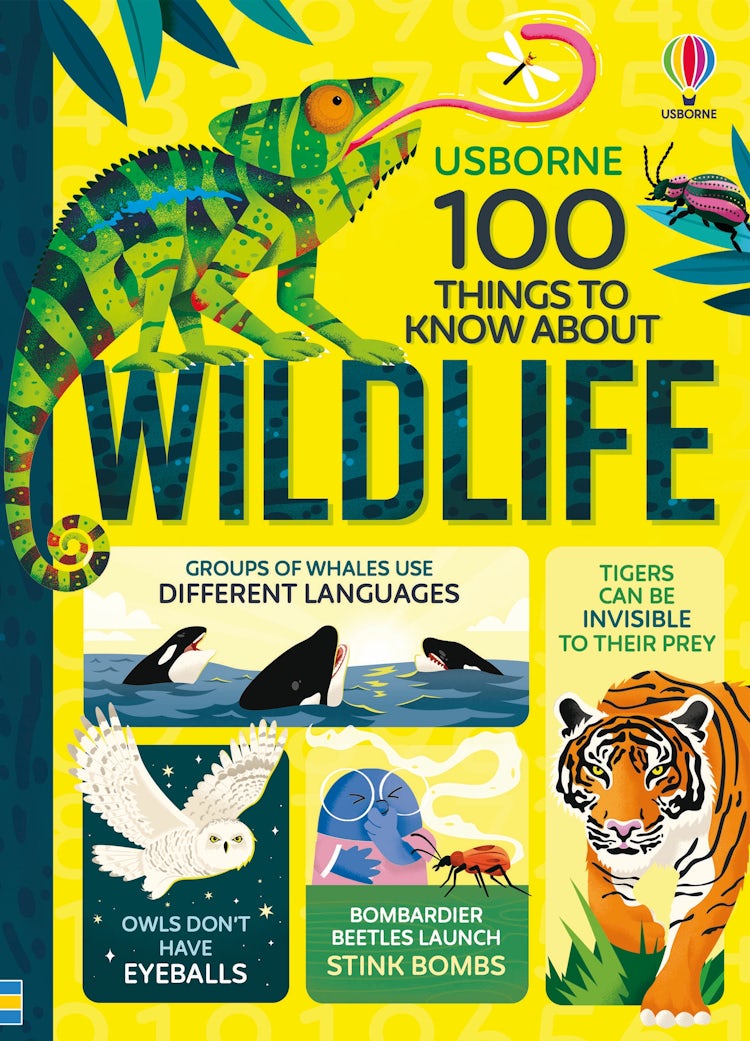 Cover image for 100 Things to Know About Wildlife, isbn: 9781836040279