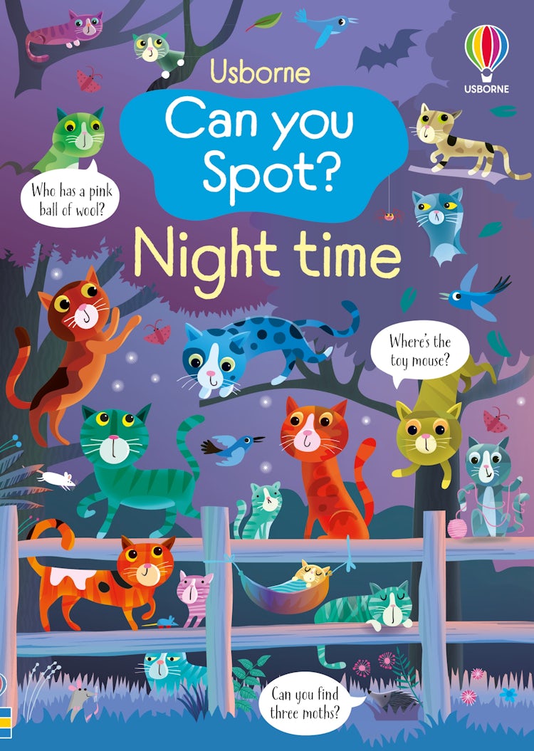 Cover image for Can You Spot? Night Time, isbn: 9781836041320