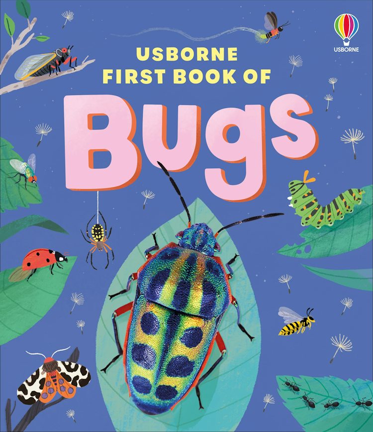 Cover image for Usborne First Book of Bugs, isbn: 9781836042716