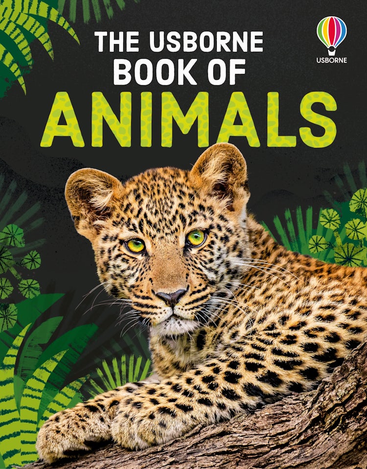 Cover image for The Usborne Book of Animals, isbn: 9781836045229