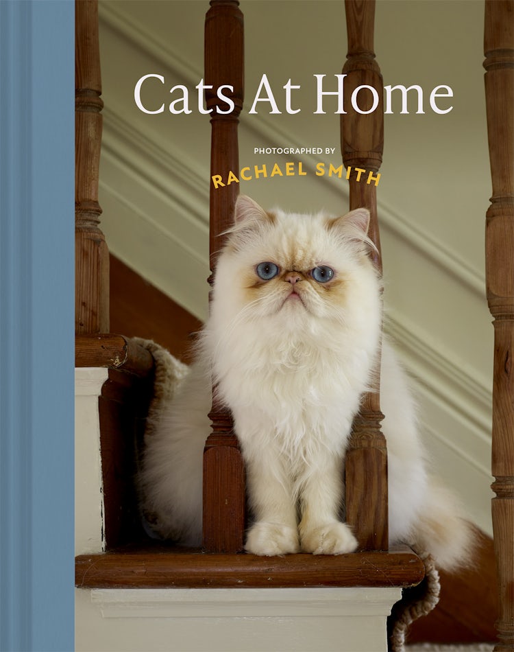 Cover image for Cats at Home, isbn: 9781837330225