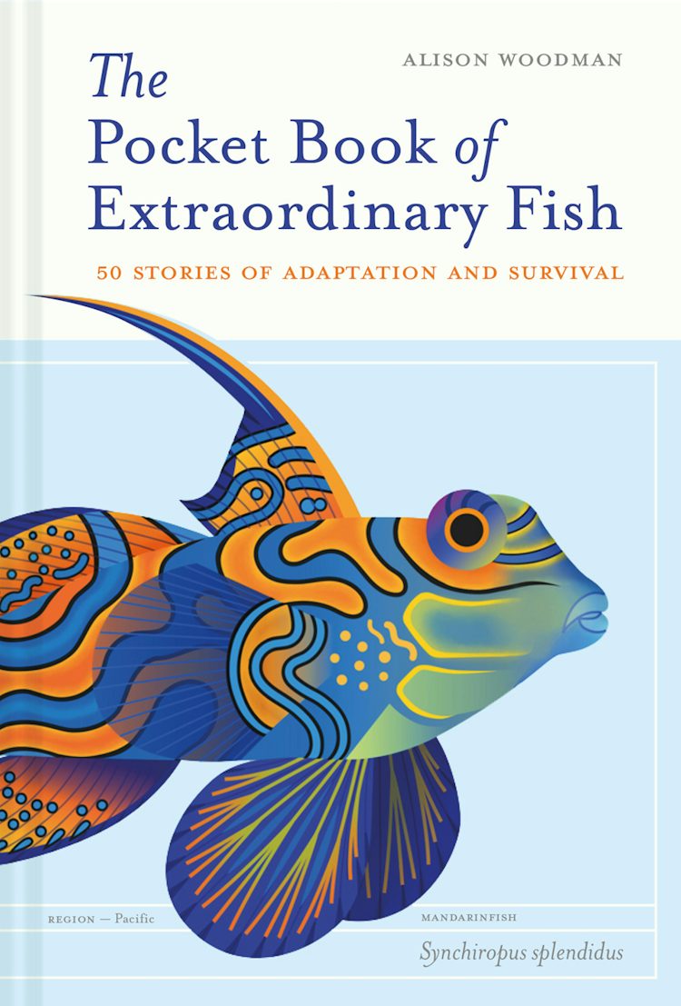 Cover image for The Pocket Book of Extraordinary Fish, isbn: 9781837330973