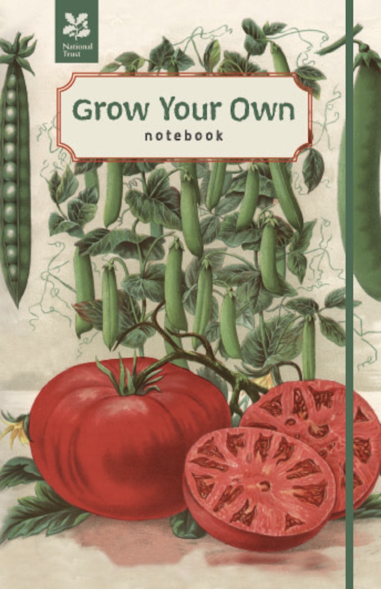 Cover image for Grow Your Own Vegetables (Notebook), isbn: 9781840655827