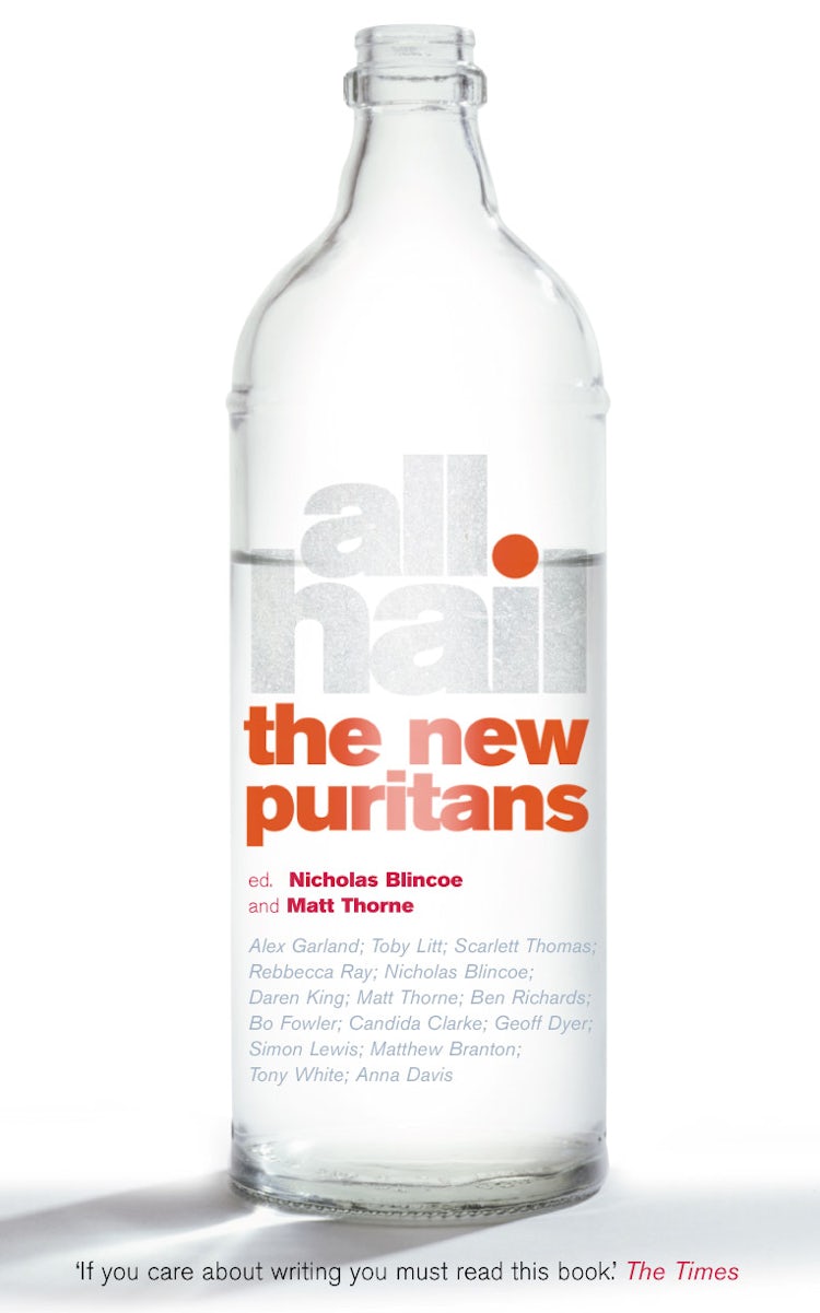 Cover image for All Hail the New Puritans, isbn: 9781841153490