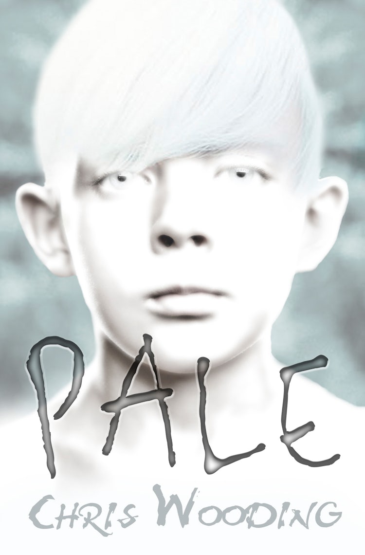 Cover image for Pale, isbn: 9781842999462