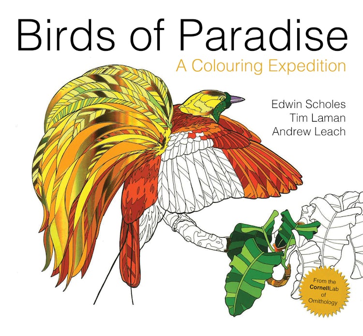 Cover image for Birds of Paradise: A Colouring Expedition, isbn: 9781843653417