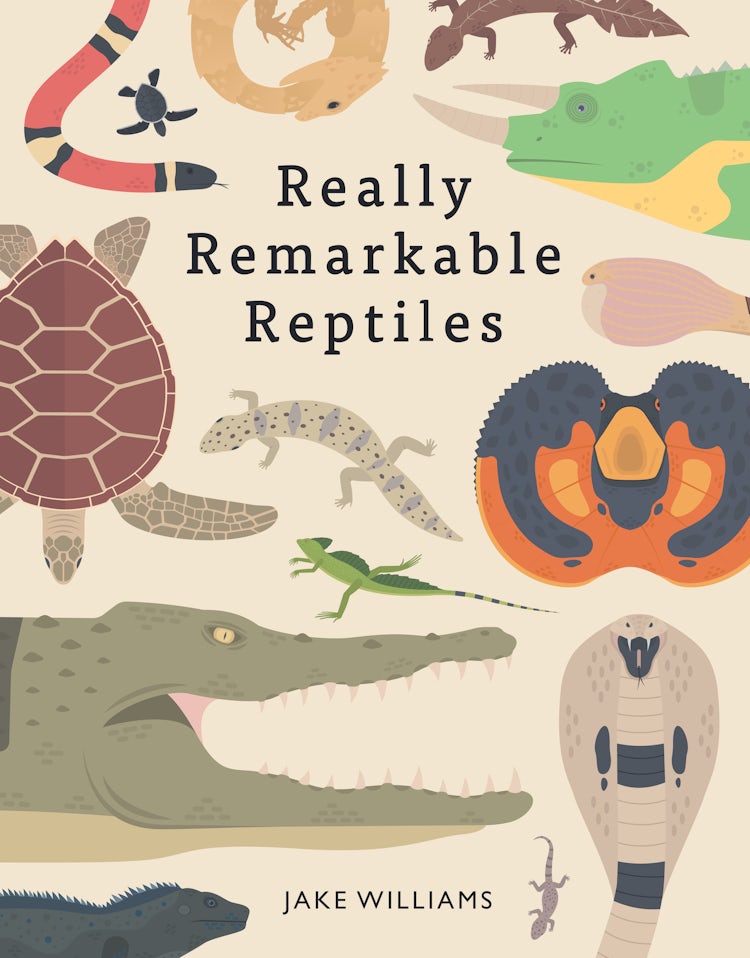 Cover image for Really Remarkable Reptiles, isbn: 9781843653721
