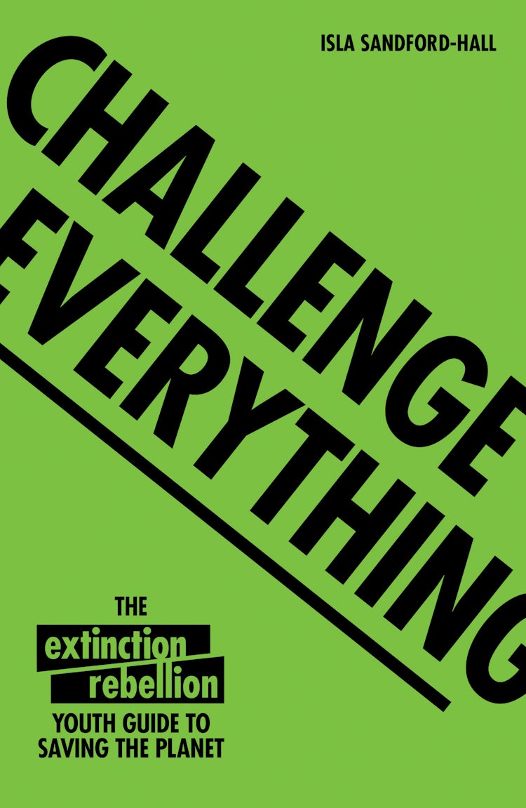 Cover image for Challenge Everything: The Extinction Rebellion Youth Guide To Saving The Planet, isbn: 9781843654643