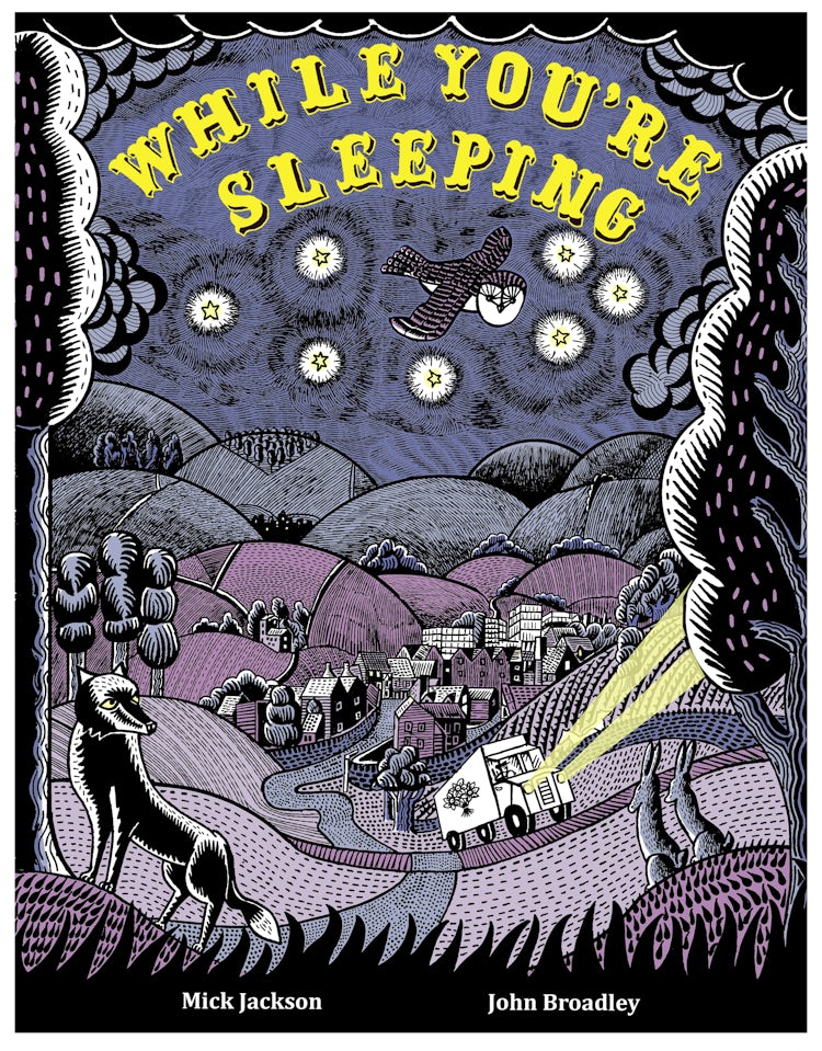 Cover image for While You're Sleeping, isbn: 9781843654650