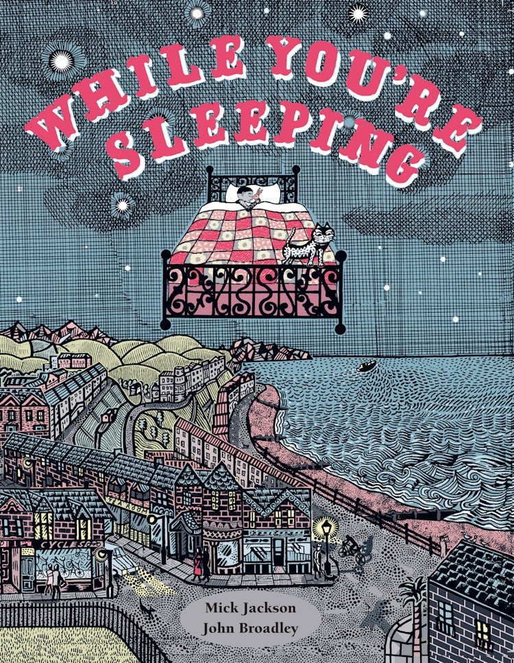 Cover image for While You're Sleeping, isbn: 9781843655411