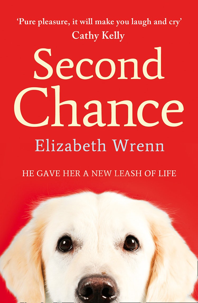 Cover image for Second Chance, isbn: 9781847560049