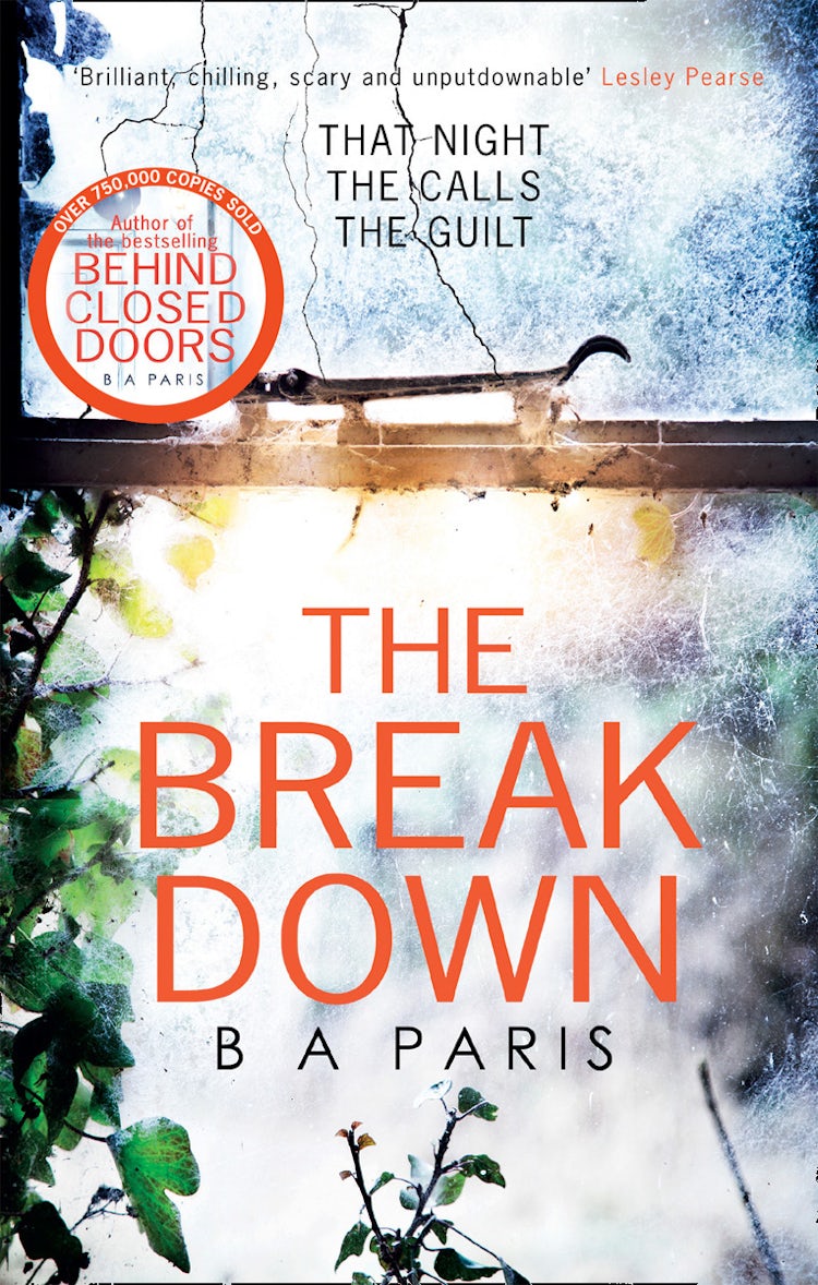 Cover image for The Breakdown, isbn: 9781848454996