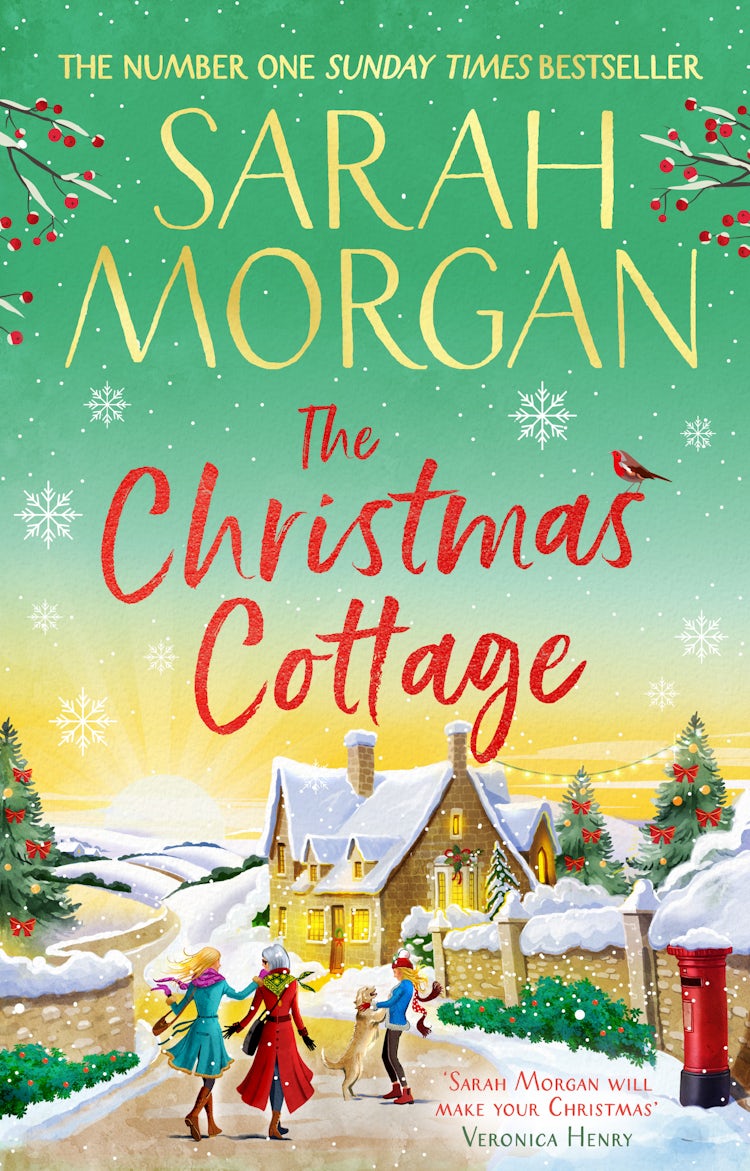 Cover image for The Christmas Cottage, isbn: 9781848459229