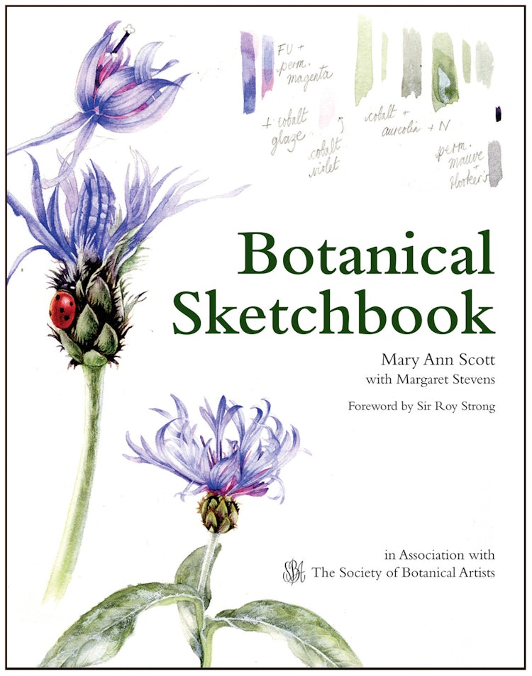 Cover image for Botanical Sketchbook: Drawing, Painting and Illustration for Botanical Artists, isbn: 9781849941518