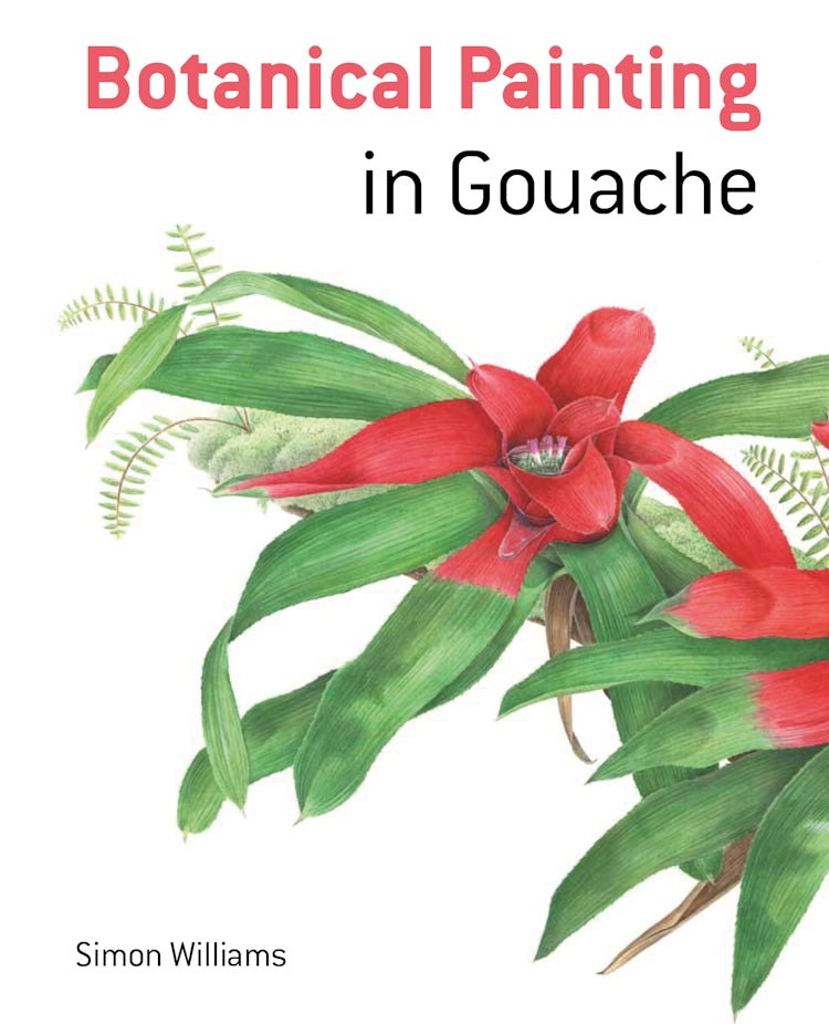 Cover image for Botanical Painting in Gouache, isbn: 9781849942652