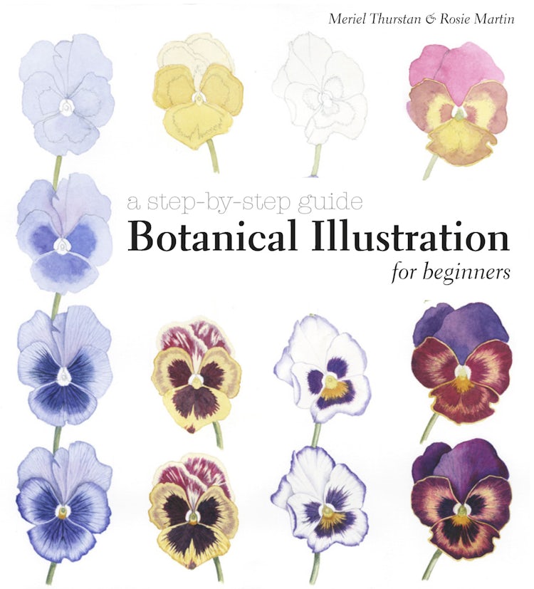Cover image for Botanical Illustration for Beginners, isbn: 9781849942713