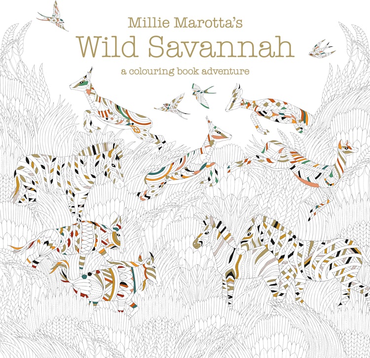 Cover image for Millie Marotta's Wild Savannah: A Colouring Book Adventure, isbn: 9781849943284
