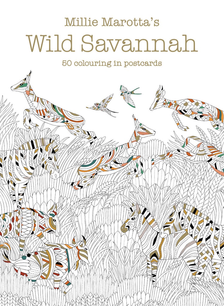 Cover image for Millie Marotta's Wild Savannah Postcard Box: 50 Beautiful Cards for Colouring In, isbn: 9781849943796