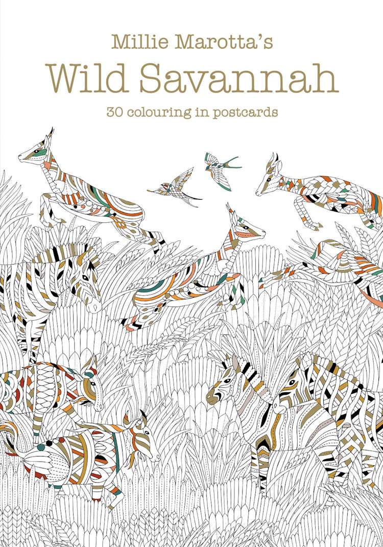 Cover image for Millie Marotta's Wild Savannah Postcard Book: 30 Beautiful Cards for Colouring In, isbn: 9781849943819