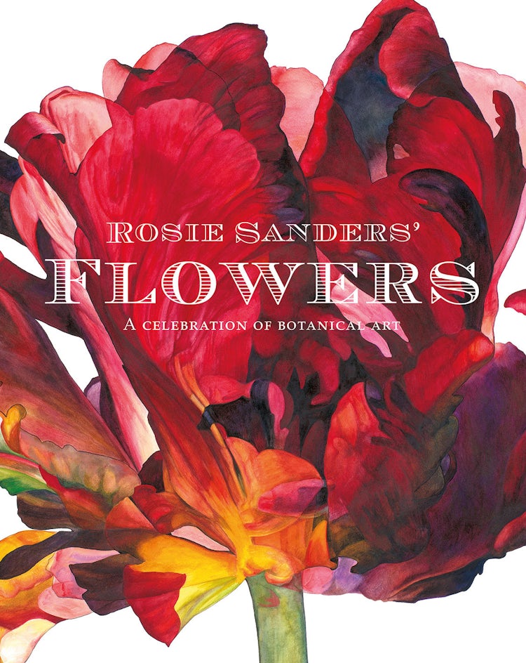 Cover image for Rosie Sanders' Flowers: A Celebration of Botanical Art, isbn: 9781849943970