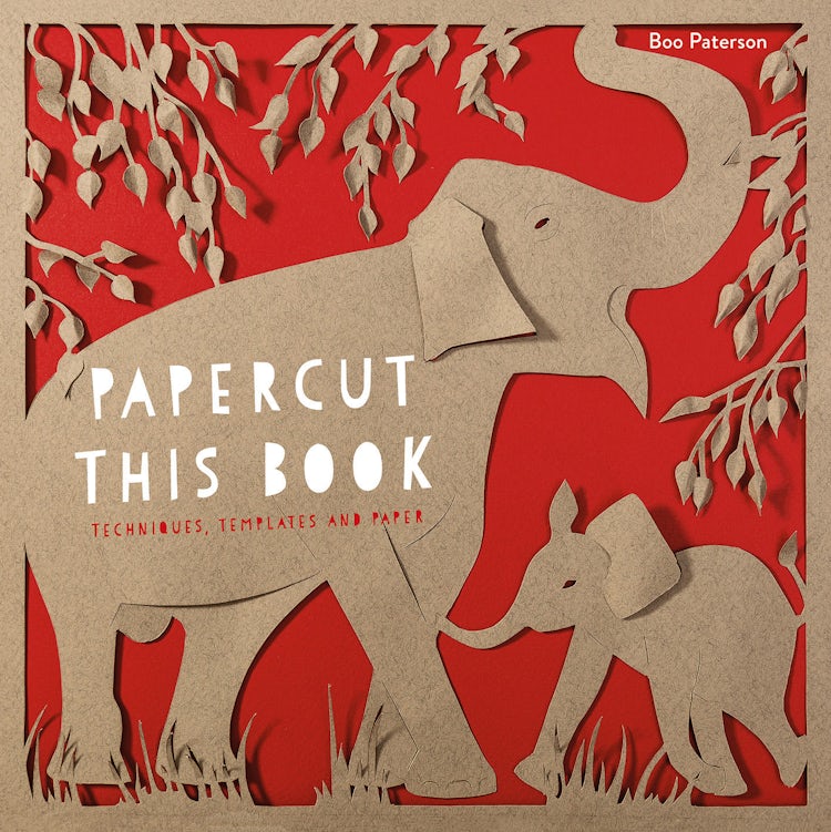 Cover image for Papercut This Book: Techniques, Templates and Paper, isbn: 9781849944090