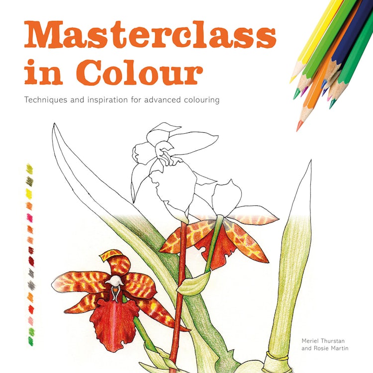 Cover image for Masterclass in Colour: A Colouring Workbook, isbn: 9781849944250