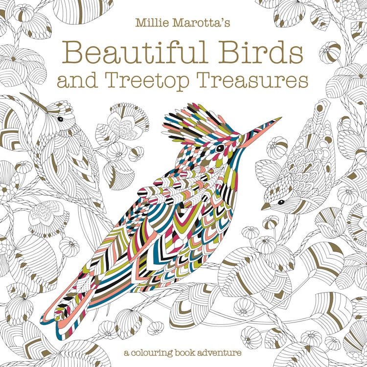 Cover image for Millie Marotta's Beautiful Birds and Treetop Treasures: A Colouring Book Adventure, isbn: 9781849944434