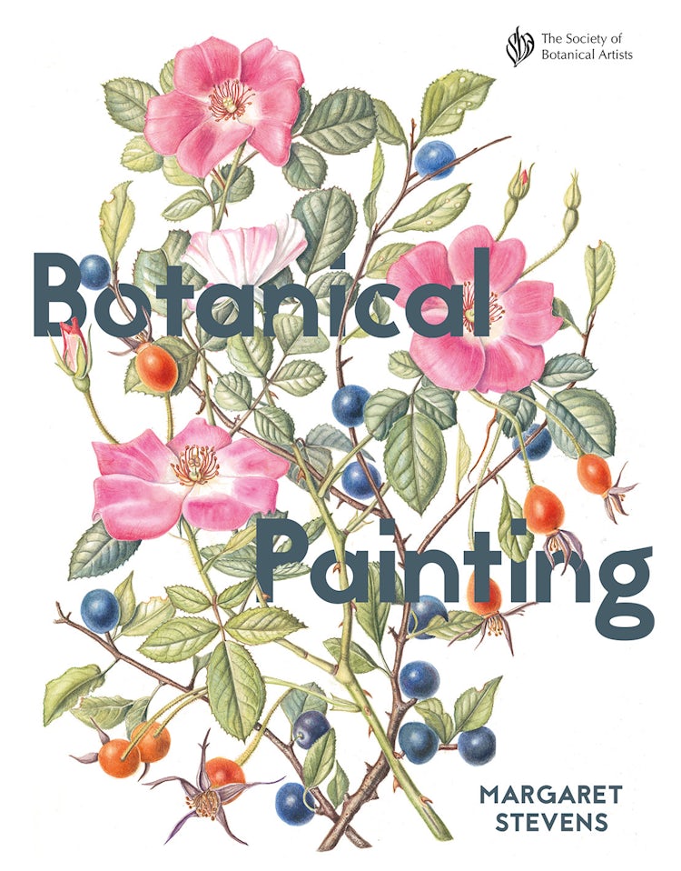 Cover image for Botanical Painting With The Society Of Botanical Artists, isbn: 9781849944526
