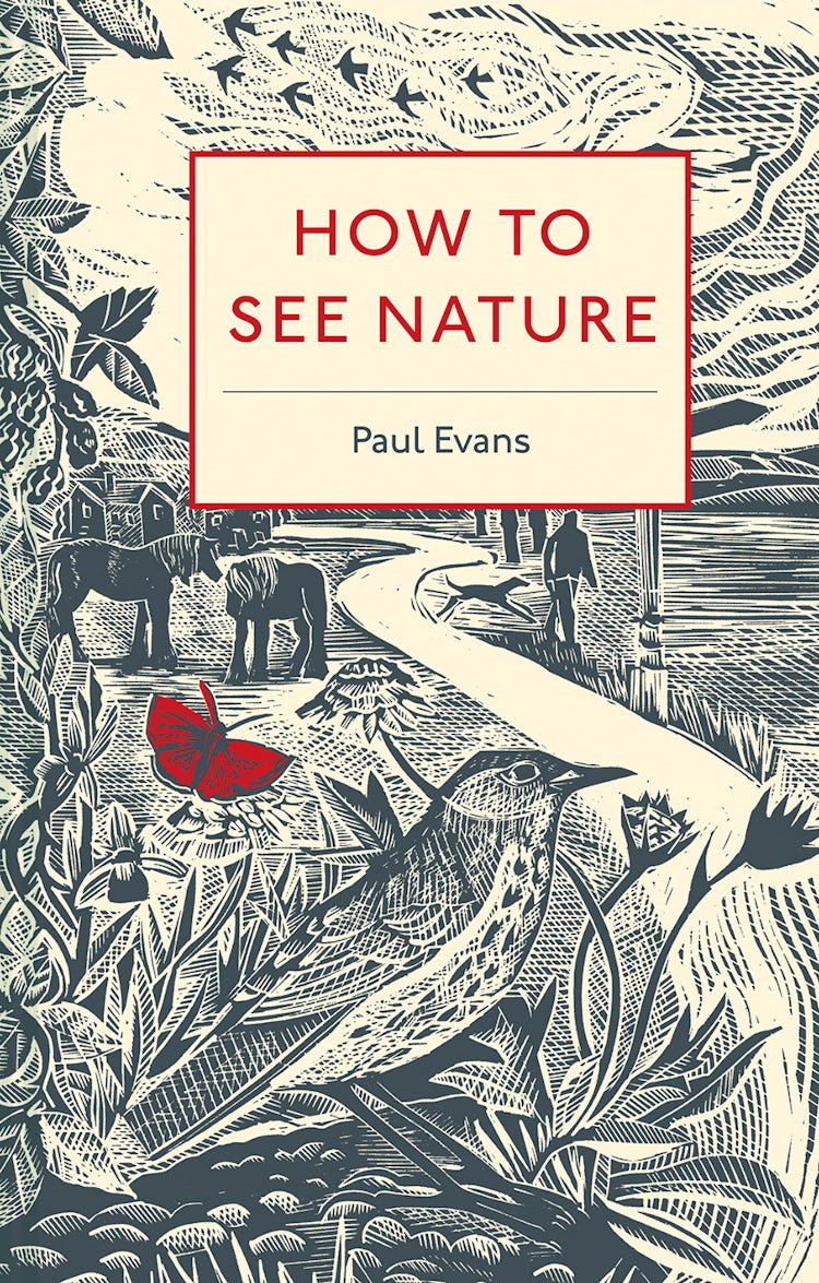 Cover image for How To See Nature, isbn: 9781849944939