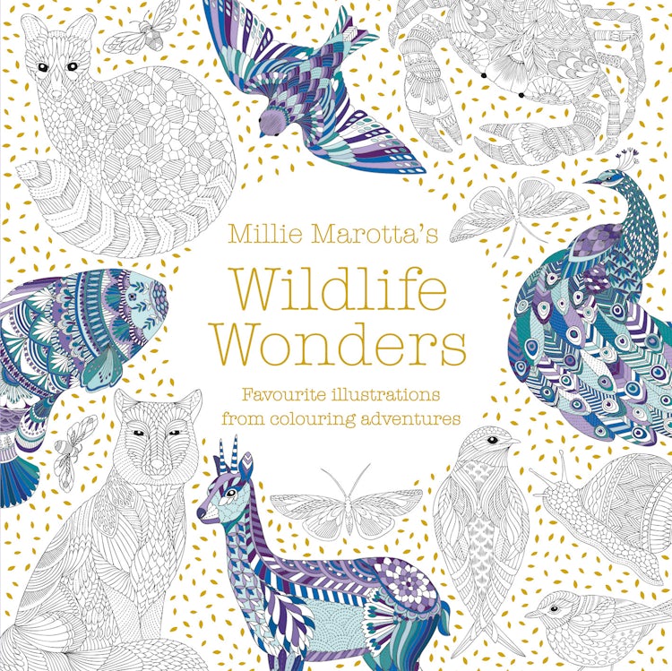 Cover image for Millie Marotta's Wildlife Wonders: Favourite Illustrations From Colouring Adventures, isbn: 9781849945134