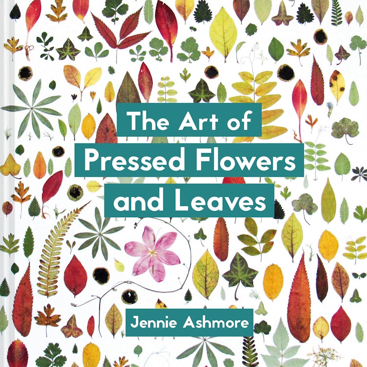 Cover image for The Art Of Pressed Flowers And Leaves: Contemporary Techniques And Designs, isbn: 9781849945257