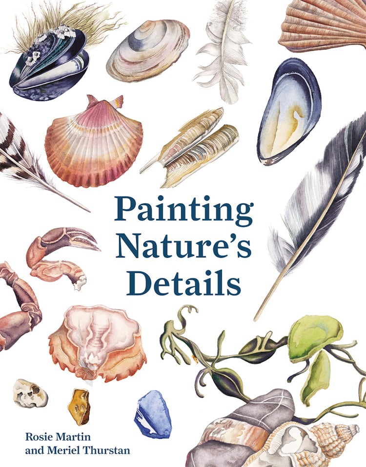 Cover image for Painting Nature's Details: From Feathers To Fossils, isbn: 9781849945455