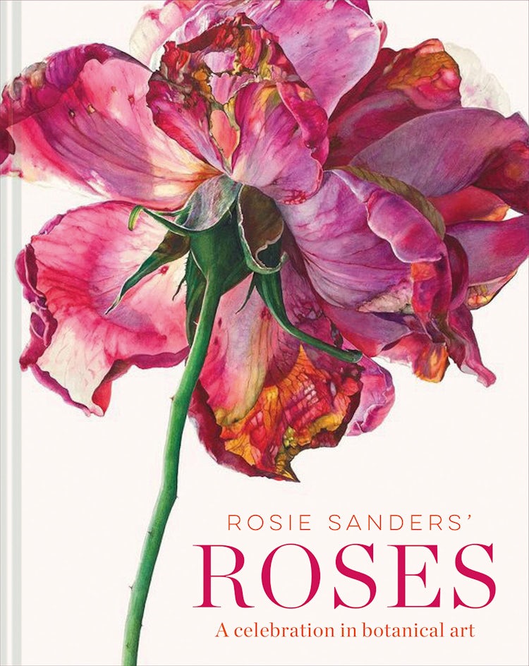 Cover image for Rosie Sanders' Roses: A Celebration In Botanical Art, isbn: 9781849945523