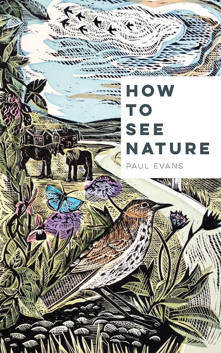 Cover image for How To See Nature, isbn: 9781849945813