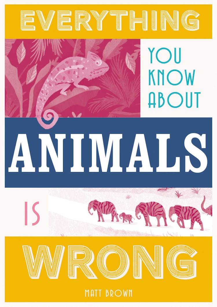 Cover image for Everything You Know About Animals Is Wrong, isbn: 9781849945820
