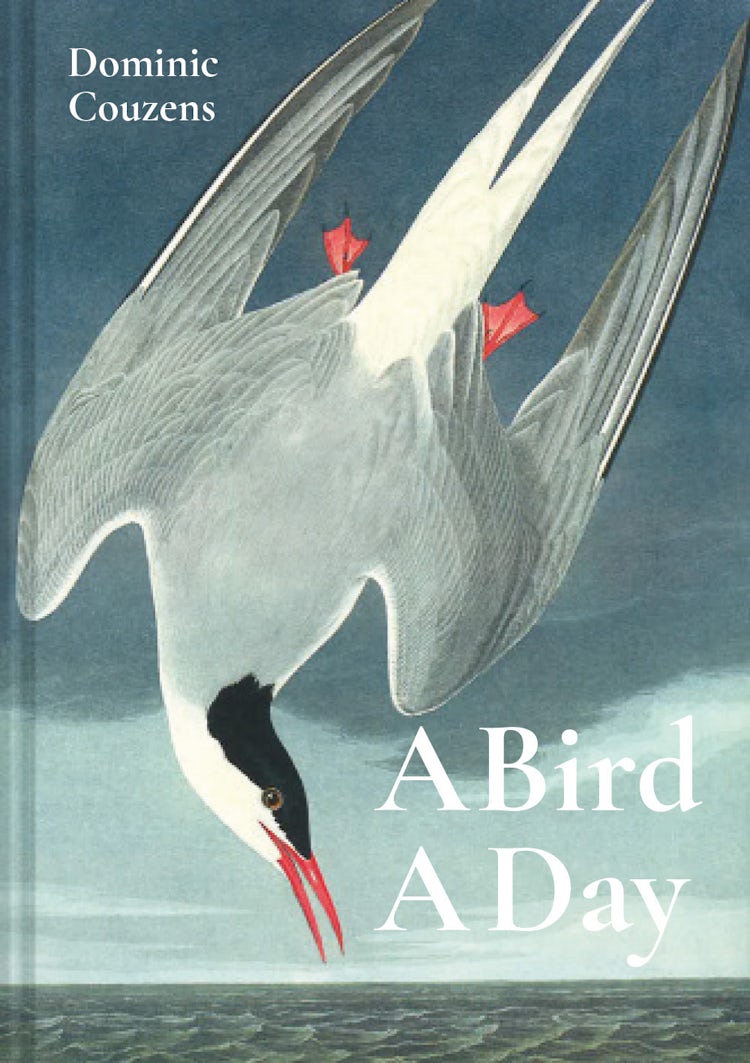 Cover image for A Bird a Day, isbn: 9781849945868
