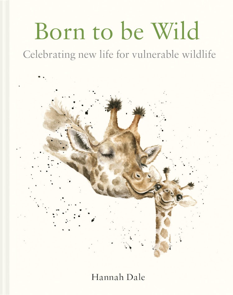 Cover image for Born To Be Wild: Celebrating New Life for Vulnerable Wildlife, isbn: 9781849946407