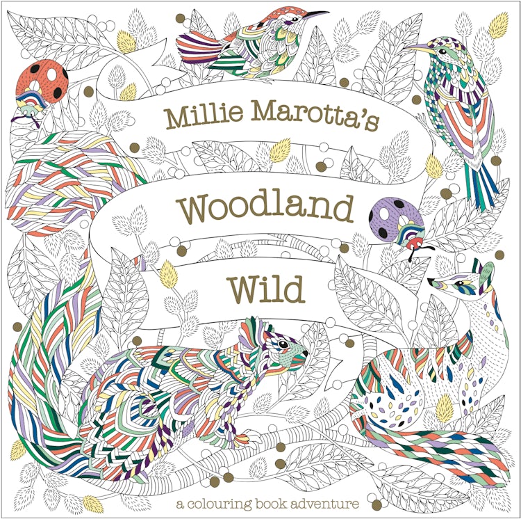 Cover image for Millie Marotta's Woodland Wild, isbn: 9781849946421