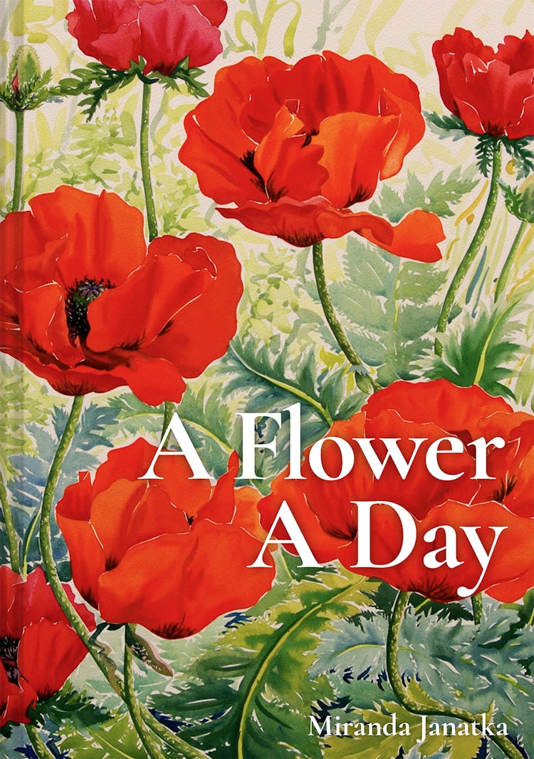 Cover image for A Flower A Day, isbn: 9781849947176