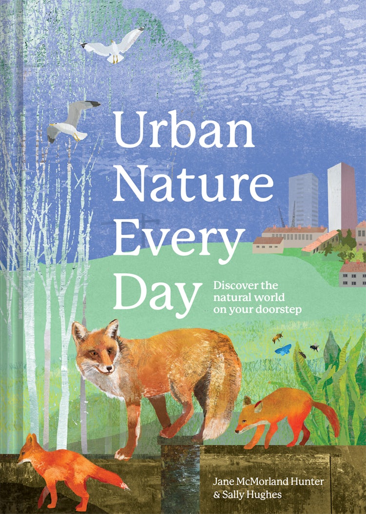 Cover image for Urban Every Day Nature: Discover the Natural World on Your Doorstep, isbn: 9781849947527