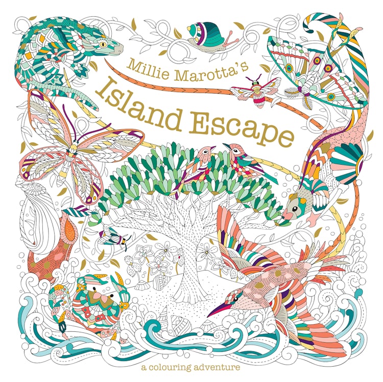 Cover image for Millie Marotta's Island Adventures: Escape with Colouring, isbn: 9781849947756