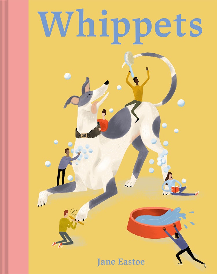 Cover image for Whippets: The Good, the Bad and the Dog, isbn: 9781849947923