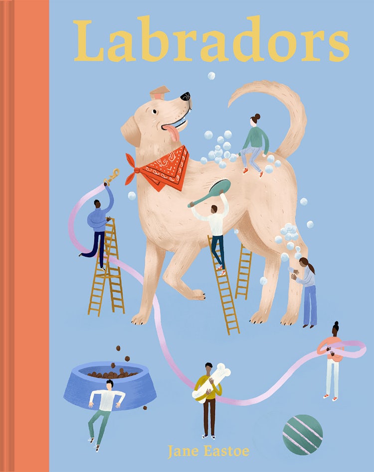 Cover image for Labradors: The Good, the Bad and the Dog, isbn: 9781849947930