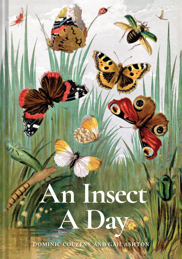 Cover image for An Insect A Day: Bees, bugs, and pollinators for every day of the year, isbn: 9781849947947