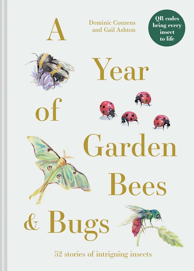 Cover image for A Year of Garden Bees and Bugs: 52 Stories of Intriguing Insects, isbn: 9781849947954