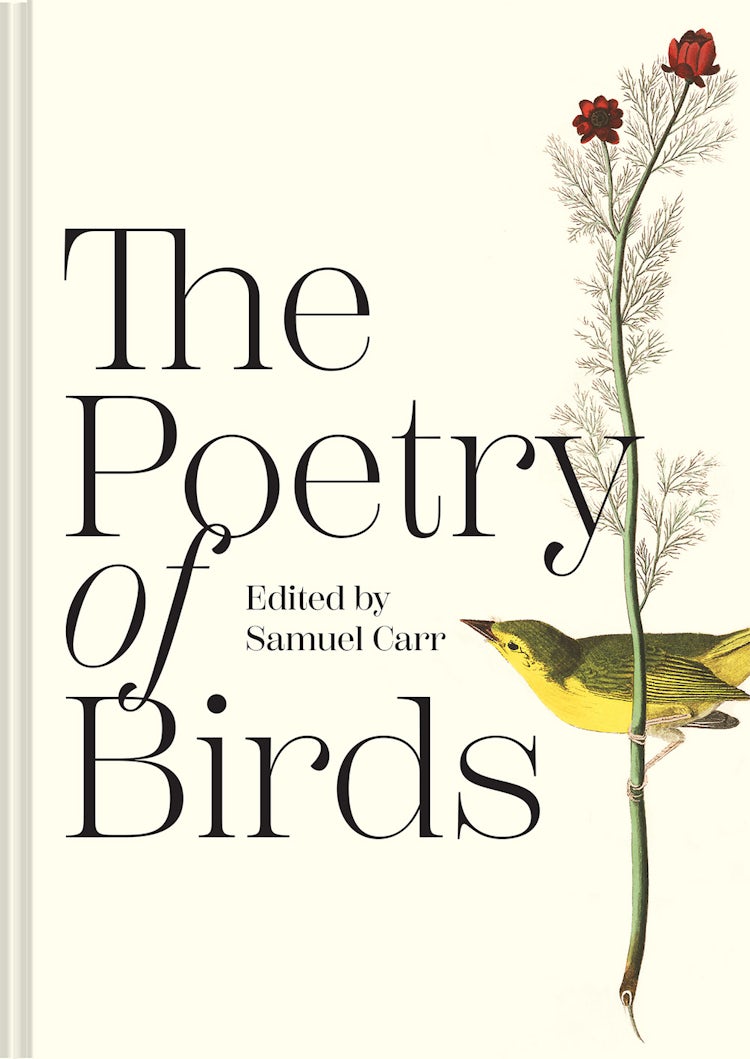 Cover image for The Poetry of Birds, isbn: 9781849948357