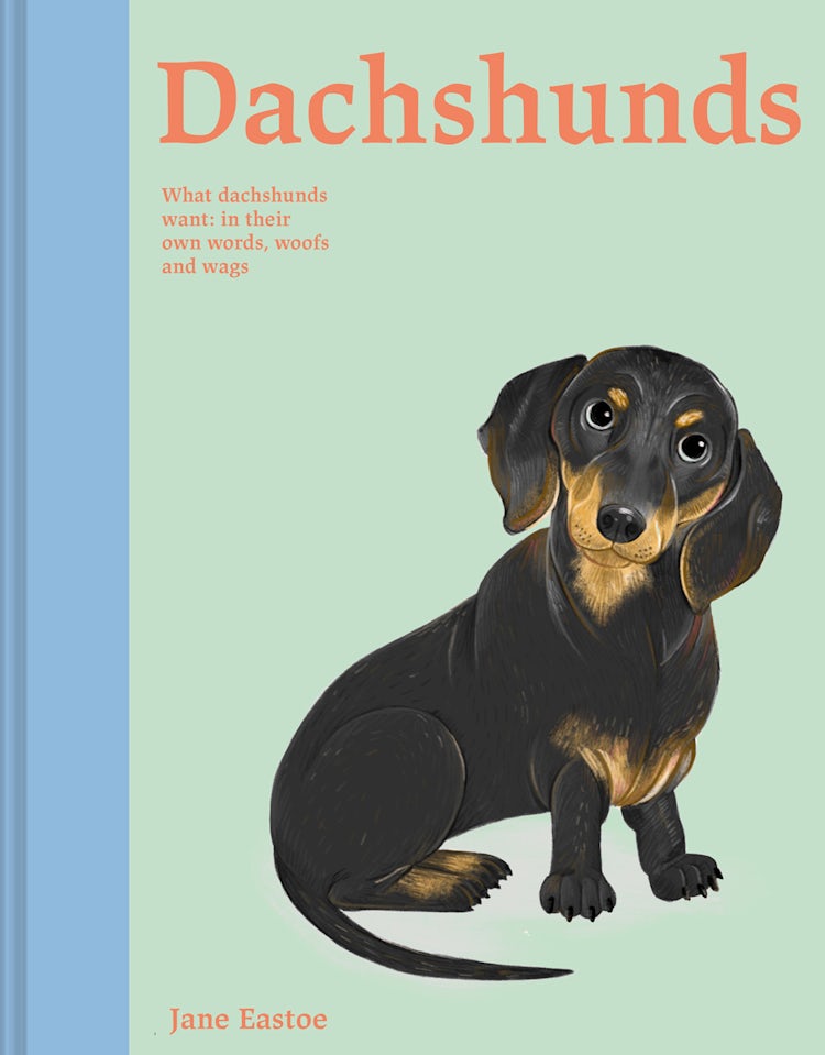 Cover image for Dachshunds: What Dachshunds want: in their own words, woofs and wags, isbn: 9781849948401